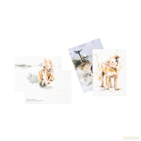 For the Love of Dogs: 25 Postcards - Ana Sampson [KSIĄŻKA]