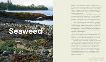 Forage. Gather. Feast.: 100+ Recipes from West Coast Forests, Shores, and Urban Spaces - Maria Finn [KSIĄŻKA]