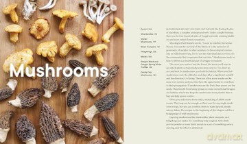 Forage. Gather. Feast.: 100+ Recipes from West Coast Forests, Shores, and Urban Spaces - Maria Finn [KSIĄŻKA]