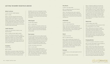 Forage. Gather. Feast.: 100+ Recipes from West Coast Forests, Shores, and Urban Spaces - Maria Finn [KSIĄŻKA]