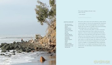 Forage. Gather. Feast.: 100+ Recipes from West Coast Forests, Shores, and Urban Spaces - Maria Finn [KSIĄŻKA]