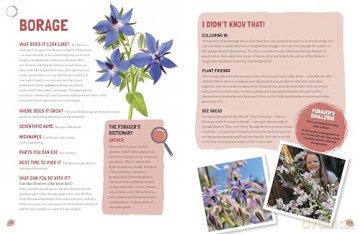 Foraging: The Complete Guide for Kids and Families!: The fun and easy guide to the great outdoors - S De Luca Mulandiee [KSIĄŻKA]
