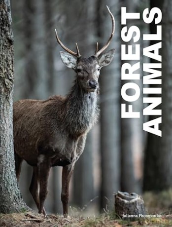 Forest Animals - Julianna Photopoulos [KSIĄŻKA]