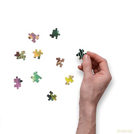 Forest Dream: A Flow State Circular Jigsaw Puzzle - Elin Svensson [KSIĄŻKA]