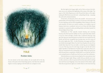 Forest Magic: Rituals and Spells for Green Witchcraft - Nikki Van De Car [KSIĄŻKA]