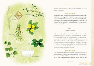 Forest Magic: Rituals and Spells for Green Witchcraft - Nikki Van De Car [KSIĄŻKA]