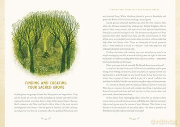 Forest Magic: Rituals and Spells for Green Witchcraft - Nikki Van De Car [KSIĄŻKA]