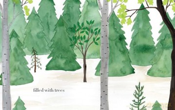 Forest: TBC - Christie Matheson [KSIĄŻKA]