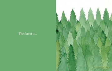 Forest: TBC - Christie Matheson [KSIĄŻKA]