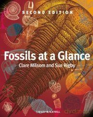 Fossils at a Glance - Clare Milsom [KSIĄŻKA]