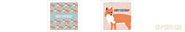 Foxy Birthday Mini FlipTop Notecard Box: With Magnetic Closure (Mini FlipTop Notecards) - Ampersand [KSIĄŻKA]