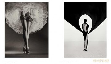 Fragile Beauty: Photographs from the Sir Elton John and David Furnish Collection (the Official V&A Exhibition Book) - Duncan Forbes [KSIĄŻKA]