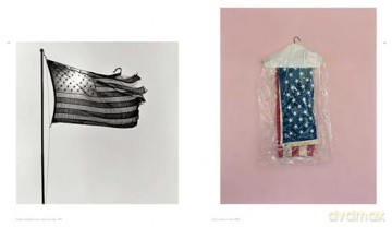 Fragile Beauty: Photographs from the Sir Elton John and David Furnish Collection (the Official V&A Exhibition Book) - Duncan Forbes [KSIĄŻKA]