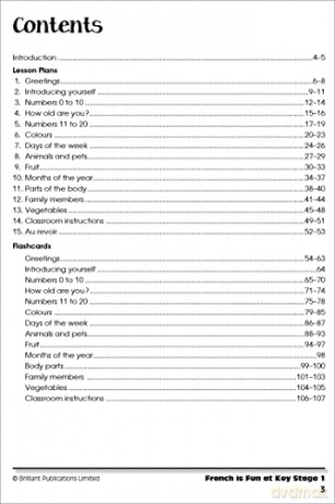 French is Fun at Key Stage 1 (Book and USB): Games, Music, Pictures and Actions to Introduce French to Young Children - Florentina Popescu [KSIĄŻKA]