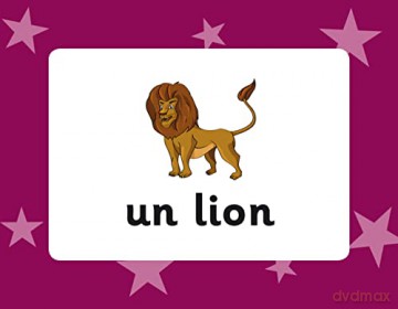 French Vocabulary Flashcards for Ages 9-11 (with Free Online Audio) (CGP KS2 Activity Books and Cards) - CGP Books [KSIĄŻKA]
