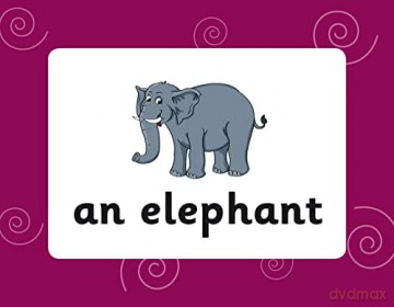 French Vocabulary Flashcards for Ages 9-11 (with Free Online Audio) (CGP KS2 Activity Books and Cards) - CGP Books [KSIĄŻKA]