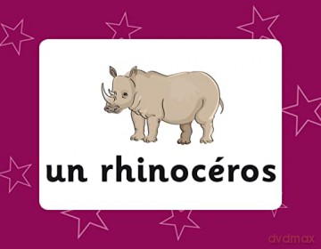 French Vocabulary Flashcards for Ages 9-11 (with Free Online Audio) (CGP KS2 Activity Books and Cards) - CGP Books [KSIĄŻKA]