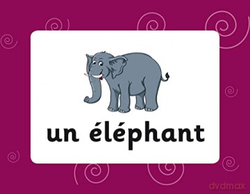 French Vocabulary Flashcards for Ages 9-11 (with Free Online Audio) (CGP KS2 Activity Books and Cards) - CGP Books [KSIĄŻKA]
