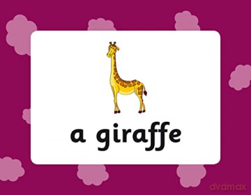 French Vocabulary Flashcards for Ages 9-11 (with Free Online Audio) (CGP KS2 Activity Books and Cards) - CGP Books [KSIĄŻKA]