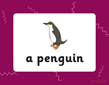 French Vocabulary Flashcards for Ages 9-11 (with Free Online Audio) (CGP KS2 Activity Books and Cards) - CGP Books [KSIĄŻKA]