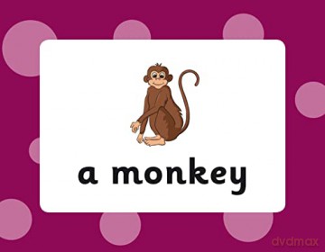 French Vocabulary Flashcards for Ages 9-11 (with Free Online Audio) (CGP KS2 Activity Books and Cards) - CGP Books [KSIĄŻKA]