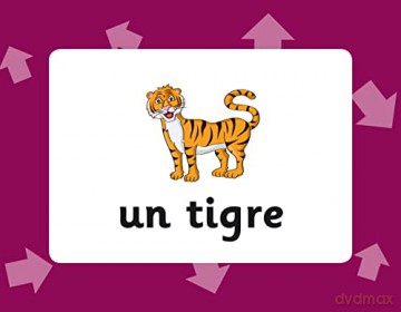 French Vocabulary Flashcards for Ages 9-11 (with Free Online Audio) (CGP KS2 Activity Books and Cards) - CGP Books [KSIĄŻKA]
