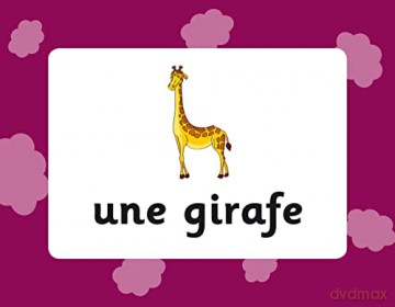 French Vocabulary Flashcards for Ages 9-11 (with Free Online Audio) (CGP KS2 Activity Books and Cards) - CGP Books [KSIĄŻKA]