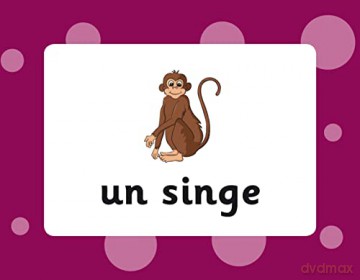 French Vocabulary Flashcards for Ages 9-11 (with Free Online Audio) (CGP KS2 Activity Books and Cards) - CGP Books [KSIĄŻKA]