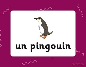 French Vocabulary Flashcards for Ages 9-11 (with Free Online Audio) (CGP KS2 Activity Books and Cards) - CGP Books [KSIĄŻKA]