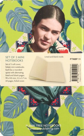 Frida Kahlo Set of 3 Mini Notebooks (Mini Notebook Collections) - Flame Tree Studio [KSIĄŻKA]