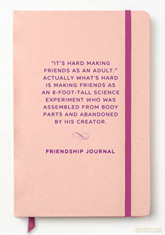 Friendship (Cheeky Classics Journal #3) (Cheeky Classics Journals) - Sterling [KSIĄŻKA]