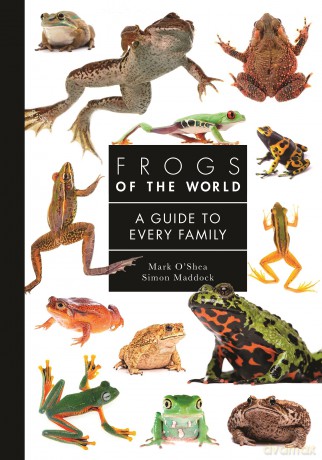 Frogs of the World: A Guide to Every Family: 9 - Mark O'Shea [KSIĄŻKA]