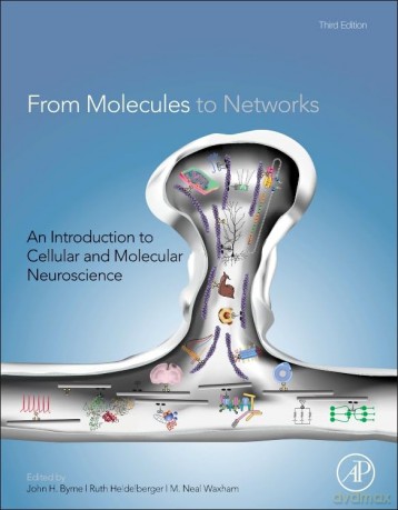 From Molecules to Networks: An Introduction to Cellular and Molecular Neuroscience - John Byrne [KSIĄŻKA]