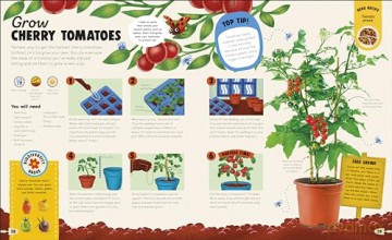 From Plant to Plate: Turn Home-Grown Ingredients Into Healthy Meals! - Darryl Gadzekpo [KSIĄŻKA]