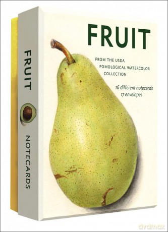 Fruit (An Abbeville Notecard Set): Selections from the USDA Pomological Watercolor Collection (Detailed Notes) - Abbeville Press [KALENDARZ]