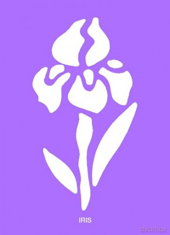 Fun with Stencils: Flowers (Little Activity Books) - Daniel Keyes [KSIĄŻKA]