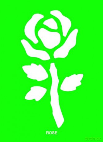 Fun with Stencils: Flowers (Little Activity Books) - Daniel Keyes [KSIĄŻKA]