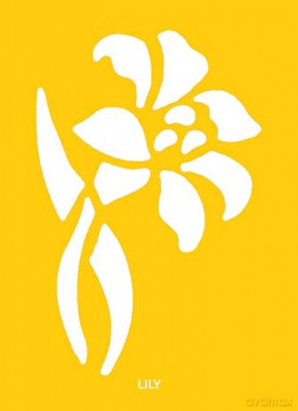 Fun with Stencils: Flowers (Little Activity Books) - Daniel Keyes [KSIĄŻKA]
