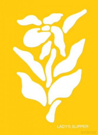 Fun with Stencils: Wildflowers (Little Activity Books) - Michellejoy Hughes [KSIĄŻKA]