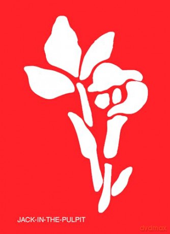 Fun with Stencils: Wildflowers (Little Activity Books) - Michellejoy Hughes [KSIĄŻKA]