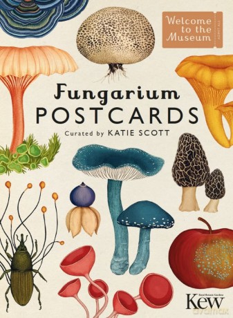 Fungarium Postcards - Katie Scott [KSIĄŻKA]