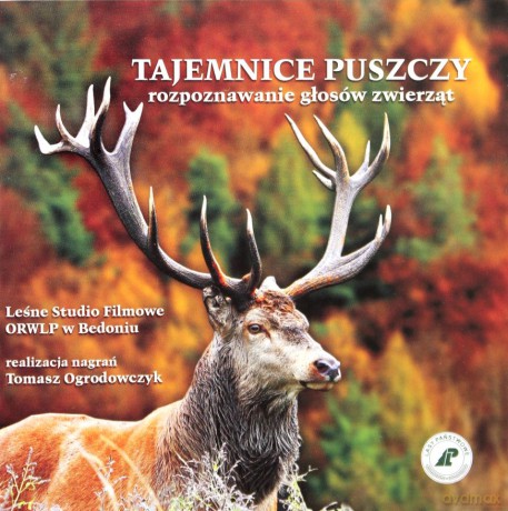 Tajemnice puszczy [CD]