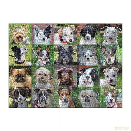 Galison 9780735369535 Rescue Dogs 1000 Piece Puzzle - Galison Mudpuppy [PUZZLE]