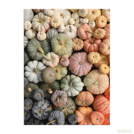 Galison 9780735369559 Heirloom Pumpkins 1000 Piece Puzzle in Square Box - Galison Mudpuppy [PUZZLE]