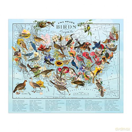 Galison 9780735372979 Wendy Gold State Birds 1000 Piece Puzzle - Galison [PUZZLE]