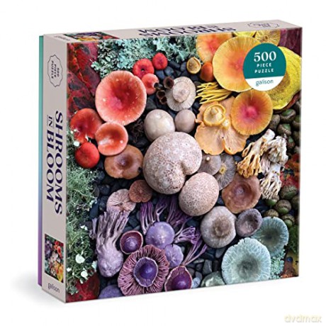 Galison 9780735374959 Shrooms in Bloom Jigsaw Puzzle, Multicoloured, 500 Pieces - Galison [PUZZLE]