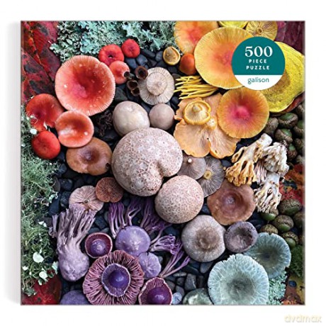 Galison 9780735374959 Shrooms in Bloom Jigsaw Puzzle, Multicoloured, 500 Pieces - Galison [PUZZLE]