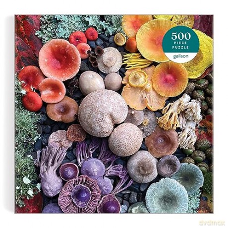 Galison 9780735374959 Shrooms in Bloom Jigsaw Puzzle, Multicoloured, 500 Pieces - Galison [PUZZLE]
