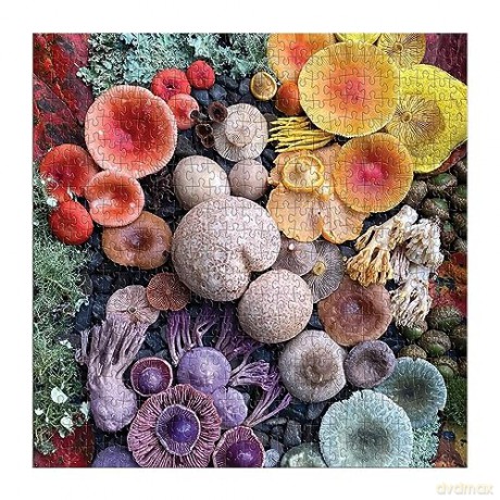 Galison 9780735374959 Shrooms in Bloom Jigsaw Puzzle, Multicoloured, 500 Pieces - Galison [PUZZLE]