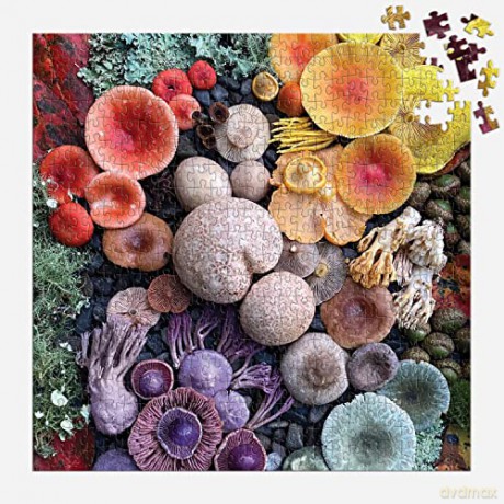 Galison 9780735374959 Shrooms in Bloom Jigsaw Puzzle, Multicoloured, 500 Pieces - Galison [PUZZLE]